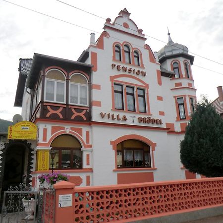 Pension Villa Broedel Бад-Бланкенбурґ Екстер'єр фото